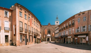 Photo of the Canal and Castle of Perpignan in springtime, Pyrenees-Orientales, France.