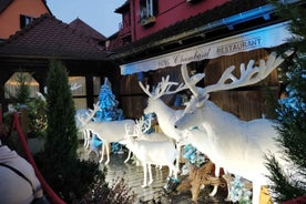 From Colmar: Christmas Markets Across 3 Borders