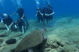 Aloittelijan SSI Basic Diver -ohjelma kahdella sukelluksella