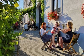 Bratislava City Wine Tasting Tour