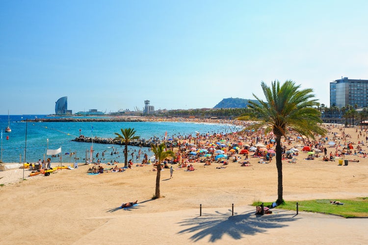 Photo of Barcelona beach on a summer day.