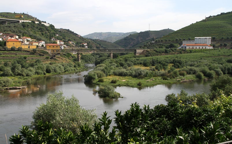 Photo of Ponte Ferroviaria da Regua bridge in Peso da Regua, Portugal.