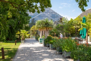 Hortus botanicus Leiden