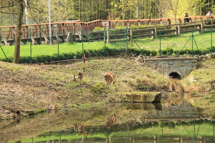 Photo of Ostrava Zoo, Czech Republic.