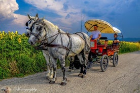 Tour de la nourriture et du vin