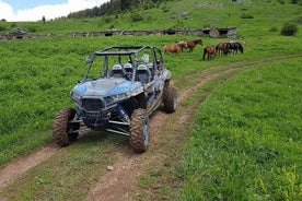 Safari privé en quad ou en buggy d'une heure à Borovets