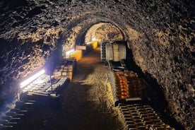 Half Day Tokaj Wine Tasting Tour in Mád Hungary with lunch