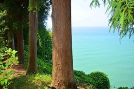 Privat sightseeingtur från Batumi till Mtirala och botaniska trädgården