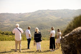 Vingårdstur med smaking i Montalcino