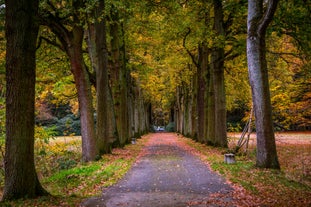 Utrecht - city in Netherlands