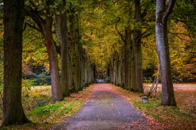 Arnhem - city in Netherlands