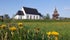 photo of flowers with Frösö Church in the background in Sweden.