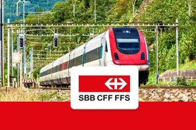 SBB 1-day pass: Unlimited travel in Geneva Zone 10