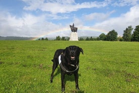 Bannockburn Battlefield Tour (Outdoor Tour operated by Freedom Tour Today)