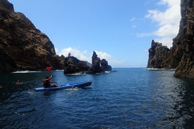 Passeios de Kayak no Porto Santo