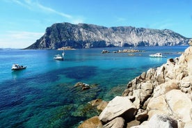 Tour in gommone e snorkeling nell' Area Marina Protetta di Tavolara