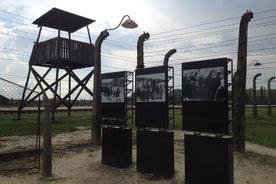 Kraków: Auschwitz-Birkenau og Saltgruva med Privat Transport