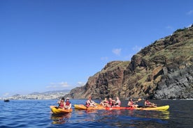 Kajak och Snorkling Tour i Undervatten Naturreservat Garajau