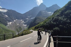 Alpine Pass Descent: Downhill Cycling Adventure in the Swiss Alps