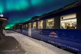 Treno dell'aurora boreale di 3 ore con guida