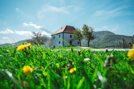 Wine Grower's Mansion Zlati Gric