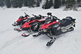 Transylvania, Dracula's Castle & Fun med snescooter eller ATV tour på en dag