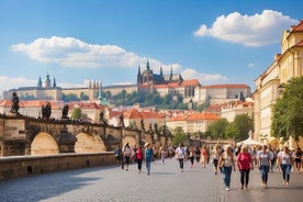 München nach Prag - Privater Tür-zu-Tür-Transfer, lokaler englischsprachiger Fahrer