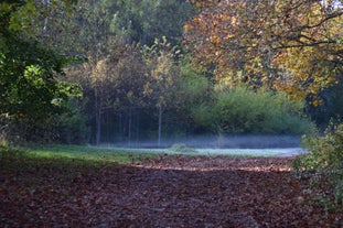 Judarskogen nature reserve