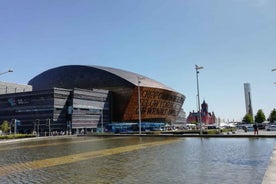 Cardiff Bay: Hápunktar á einkaleiðsögn