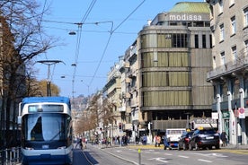  Private City Tour to Zurich with Lunch at Zeughauskeller