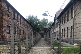 Auschwitz Birkenau-tur fra Krakow