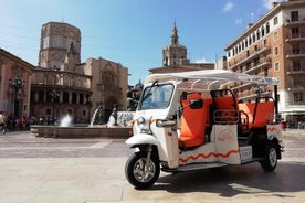 Valencia: Tuk Tuk Historical Tour