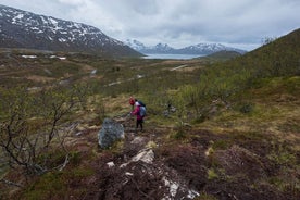 Caminhada científica cidadã para pequenos grupos em Tromso