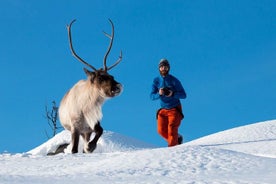 Besichtigungstour zur Naturfotografie in der Arktis ab Tromsø