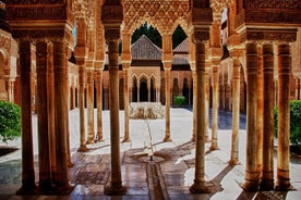 Alhambra privat tur med en historiker (med Nasrid-paladser)