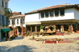 Tour privato di un giorno a Plovdiv