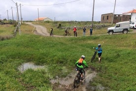  自転車レンタル