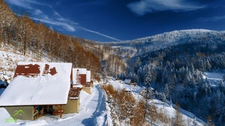 Domki Beskid