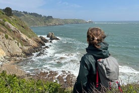 Howth Peninsula-wandeltocht met uitzicht op de baai van Dublin