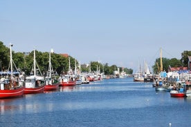 Excursion à terre commune: Rostock et Warnemuende