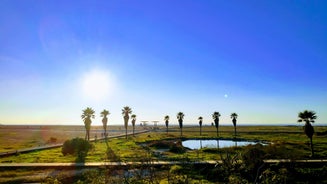 Figueira da Foz - city in Portugal