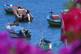 Madeira Sea Cliff en Camara de Lobos 4WD Halve dagtour