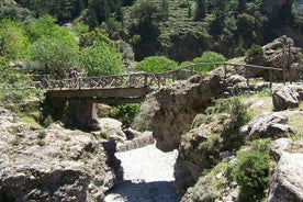 Trasferimento privato di andata e ritorno da La Canea al Samaria Gorge Park