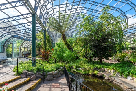 Photo of Inside of David Welch winter gardens near the main entrance in Duthie Park, Aberdeen, Scotland .