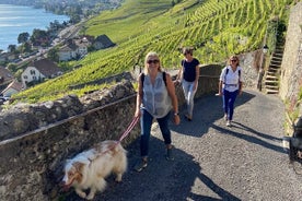 Storie di vite: passeggiata sul vino Lavaux e Lutry