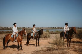 Desde Albufeira: tour de medio día por gemas ocultas y paseos a caballo