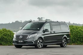 Ankomst Privat Transfer fra Bergen Lufthavn BGO til Bergen med luksus minivan