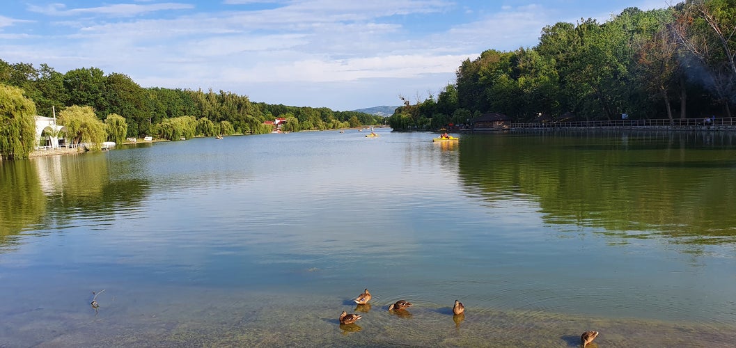 Ciric Lake summer view , Iasi , Romania.