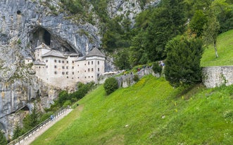 Capital of Slovenia, panoramic view with old town and castle.