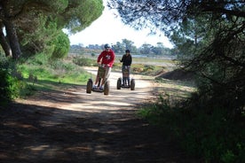 Excursão de Segway para observação de Pássaros no Parque Natural Ria Formosa saindo de Faro